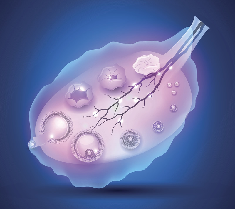 2026年兰州辅助生殖医院综合评估：聚焦失庭与单身女性试管需求，附本地高口碑机构服务特色解析